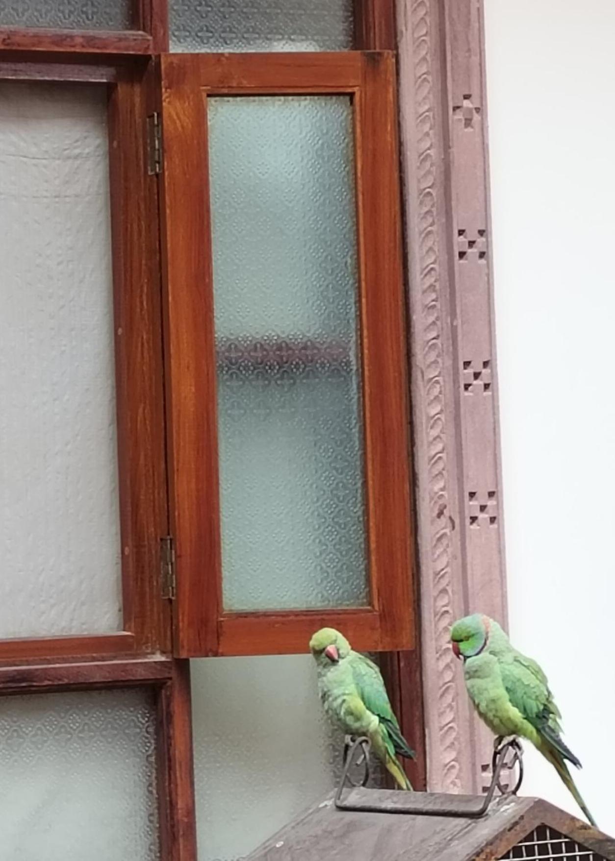 Rigmor Haveli Hotel Jodhpur  Exterior foto